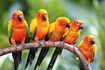 No Bird Lover Should Miss These Top Bird Sanctuaries in India